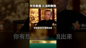 陈丹青：牛马革命已经抬头！中共集权之下，人活的像狗！