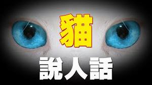 🔥猫说人话，记者真实拍摄❗猫还亲口告诉和尚，猫能说话的原因...❗