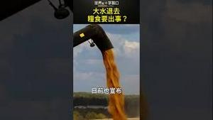 主产区大水爆发 粮食供应要出事？#short｜世界的十字路口 唐浩