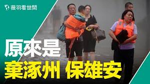 党媒泄密！淹涿州是为了保雄安和北京；半夜武警挖堤放水被逮正着；涿州人的命也是命！| 薇羽看世间 第712期 20230803