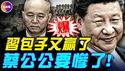 内部人士：张又侠还活著，军方知道囚禁地！军报发文呼吁拥习，习重登权力巅峰？ ！军报发社论的幕后：被蔡奇给阴了！#真飞 #真观点